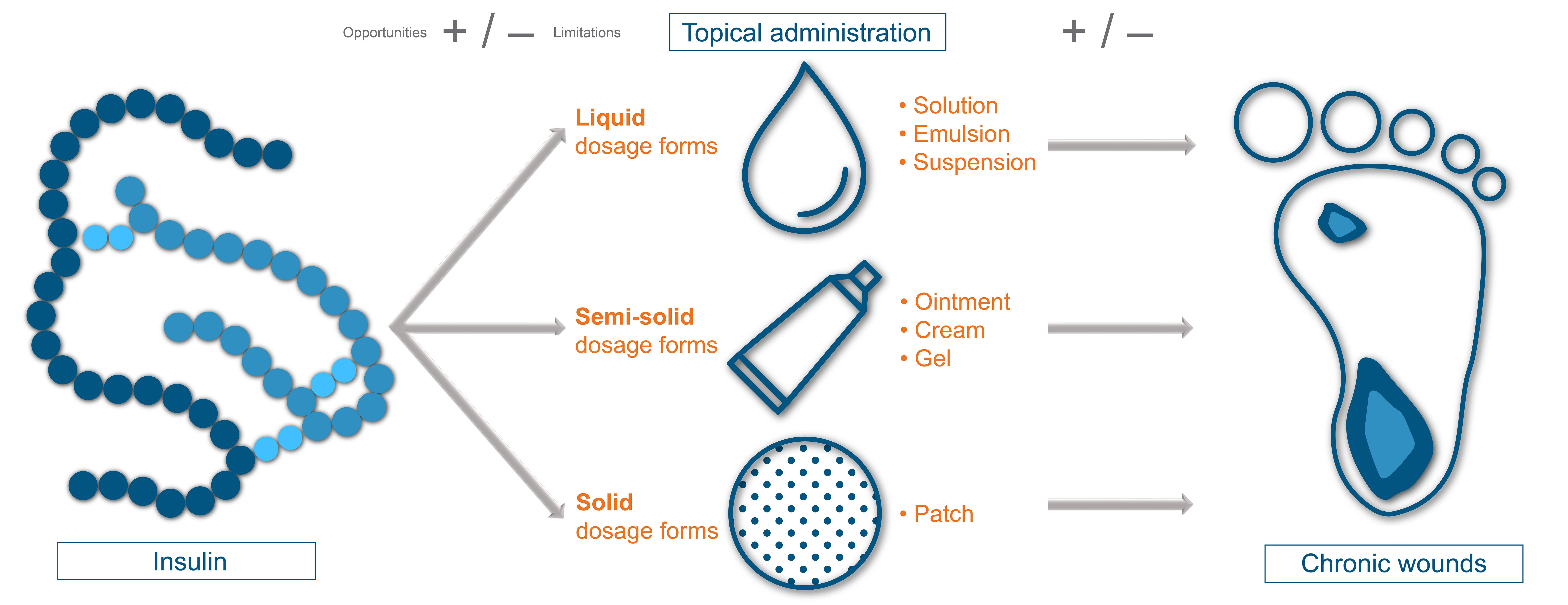 Graphical abstract for Benkő et al. APH 2022;92:3-19